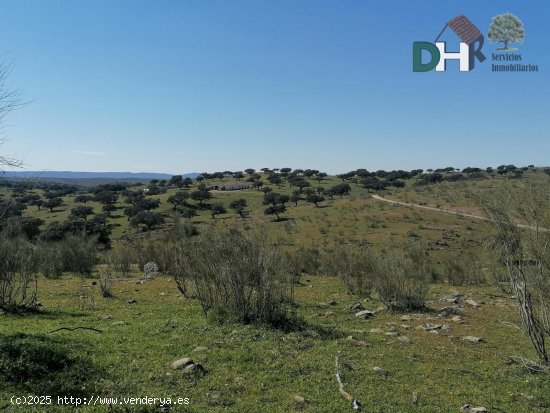 Solar en venta en Cáceres (Cáceres)