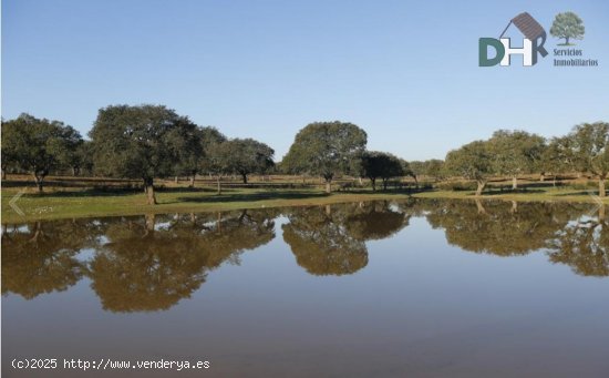 Solar en venta en Cáceres (Cáceres)