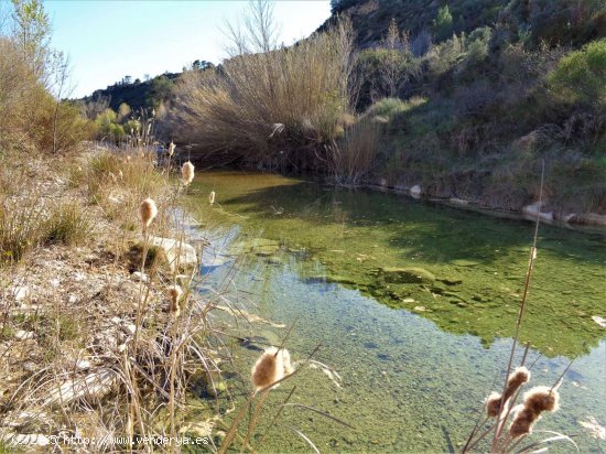 Finca en venta en Maella (Zaragoza)