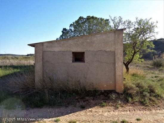 Finca en venta en Maella (Zaragoza)