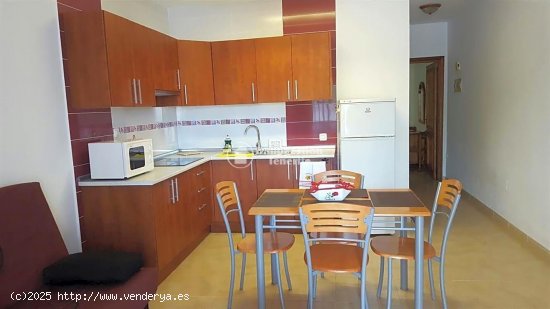 Apartamento en alquiler en Arona (Tenerife)