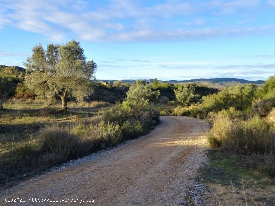 Finca en venta en Maella (Zaragoza)