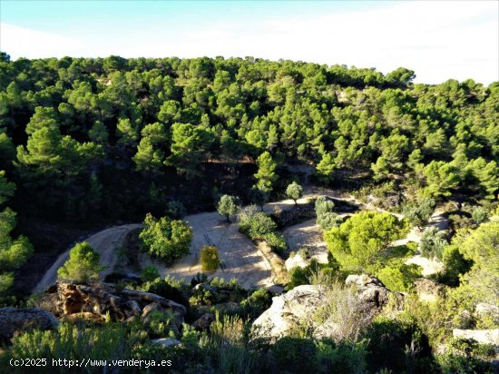 Finca en venta en Maella (Zaragoza)