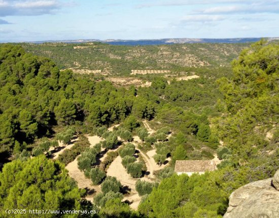 Finca en venta en Maella (Zaragoza)