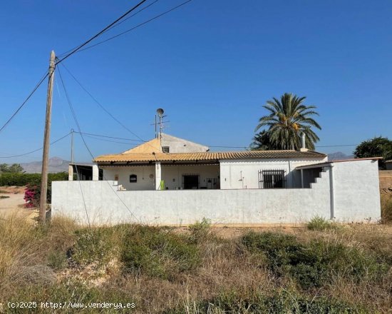  Finca en venta en Orihuela (Alicante) 