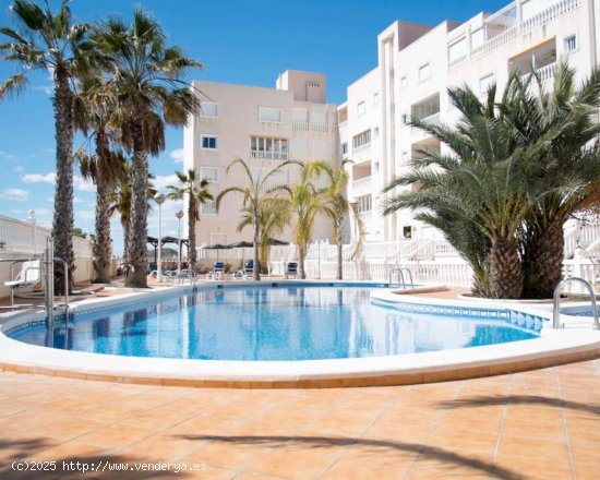  Apartamento en venta en Guardamar del Segura (Alicante) 