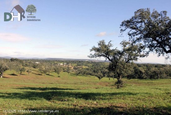 Solar en venta en Cáceres (Cáceres)