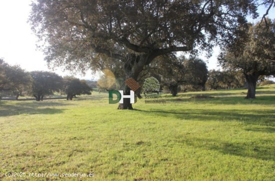 Solar en venta en Cáceres (Cáceres)