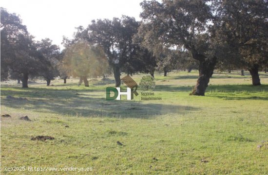 Solar en venta en Cáceres (Cáceres)