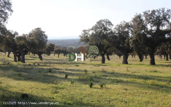 Solar en venta en Cáceres (Cáceres)