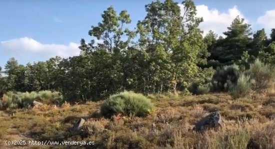 Solar en venta en Jerte (Cáceres)