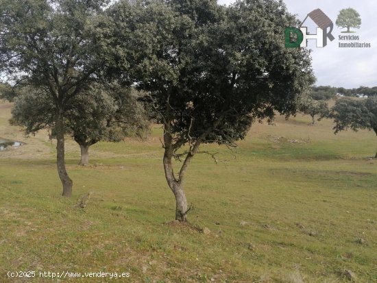 Solar en venta en Cáceres (Cáceres)