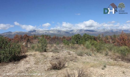 Solar en venta en Cáceres (Cáceres)