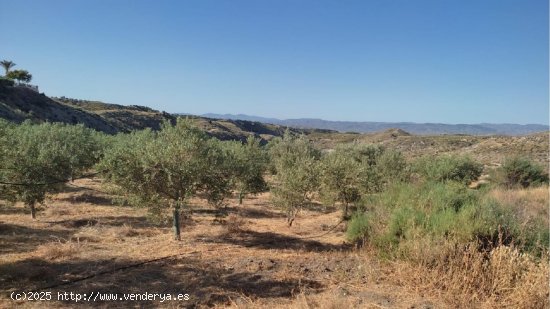 Finca en venta en Huércal-Overa (Almería)