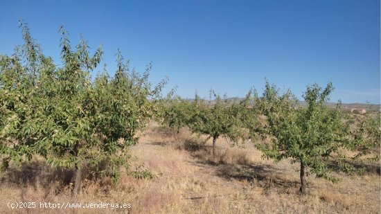 Solar en venta en Huércal-Overa (Almería)