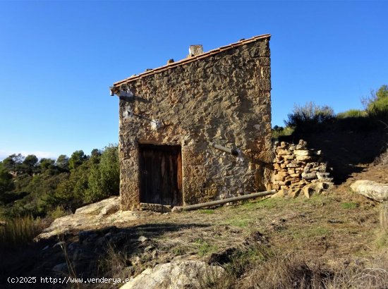 Finca en venta en Maella (Zaragoza)