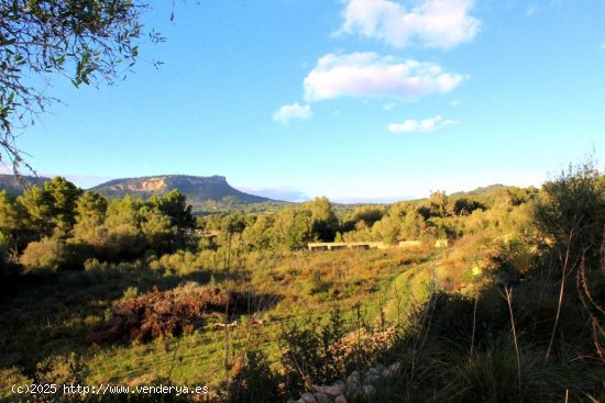  Villa en venta en construcción en Llucmajor (Baleares) 