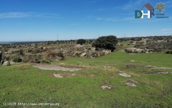 Solar en venta en Cáceres (Cáceres)