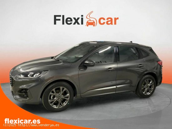 Ford Kuga ST-Line 1.5T EcoBoost 110kW (150CV) - Puerto de Sagunto