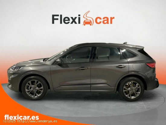 Ford Kuga ST-Line 1.5T EcoBoost 110kW (150CV) - Puerto de Sagunto