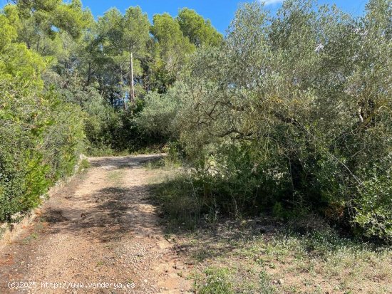 Finca en venta en Alcover (Tarragona)