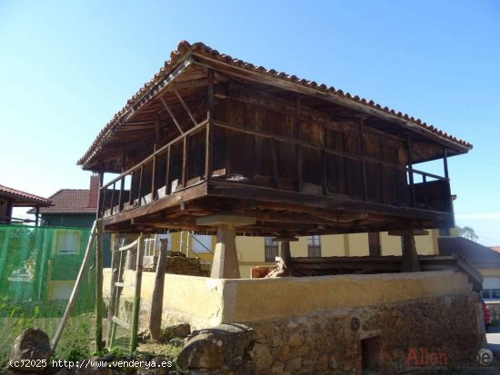 Casa en venta en Oviedo (Asturias)