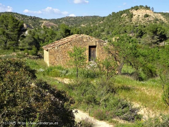  Finca en venta en Batea (Tarragona) 