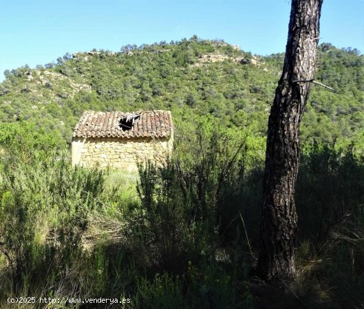 Finca en venta en Batea (Tarragona)