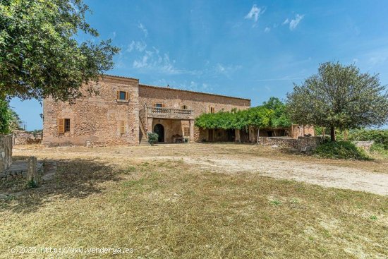  Casa en venta en Sineu (Baleares) 