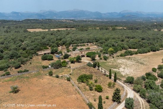 Casa en venta en Sineu (Baleares)