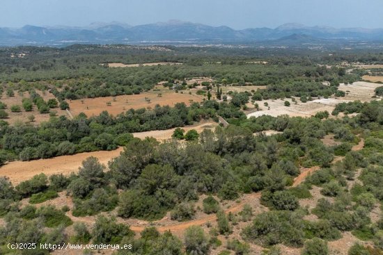 Casa en venta en Sineu (Baleares)