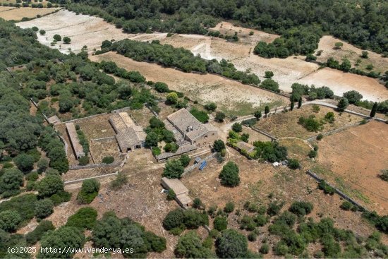 Casa en venta en Sineu (Baleares)