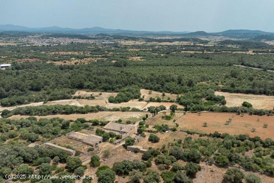 Casa en venta en Sineu (Baleares)