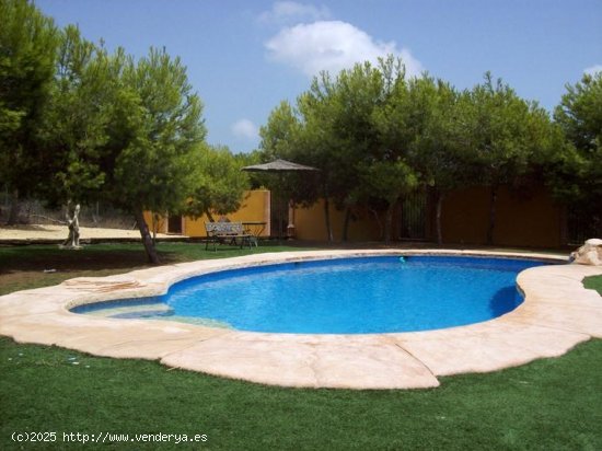 Finca en venta en Ciudad Quesada (Alicante)