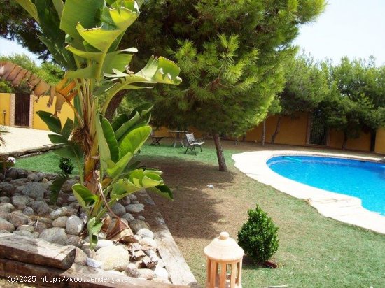 Finca en venta en Ciudad Quesada (Alicante)