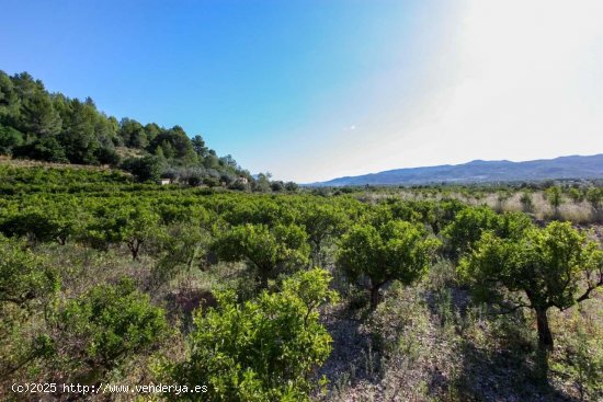 Solar en venta en Orba (Alicante)