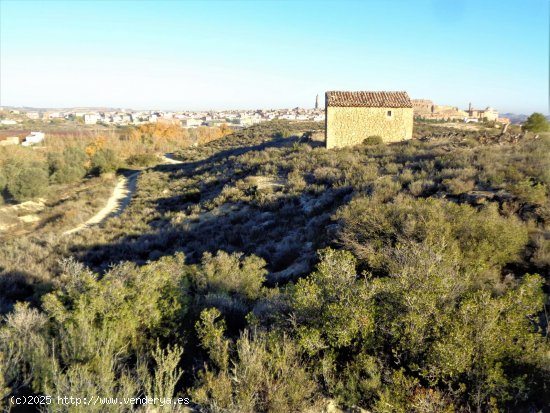 Finca en venta en Maella (Zaragoza)