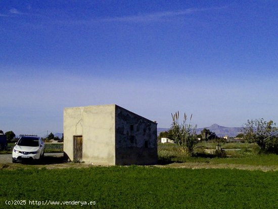 Parcela en venta en Dolores (Alicante)