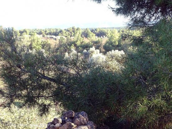 Finca en venta en Torre del Compte (Teruel)