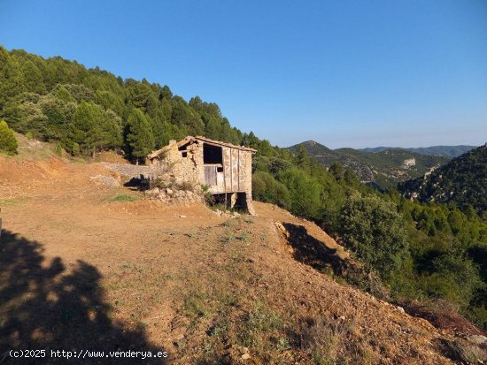 Finca en venta en Peñarroya de Tastavins (Teruel)