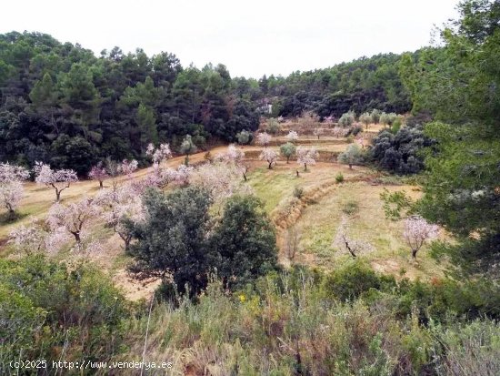 Finca en venta en Valjunquera (Teruel)