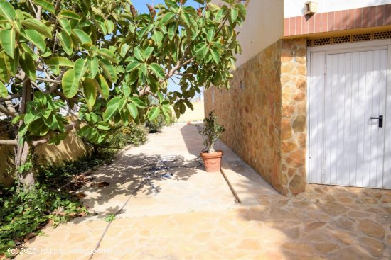 Villa en venta en Torrevieja (Alicante)