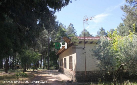 Solar en venta en Alía (Cáceres)