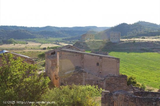 Finca en venta en Batea (Tarragona)