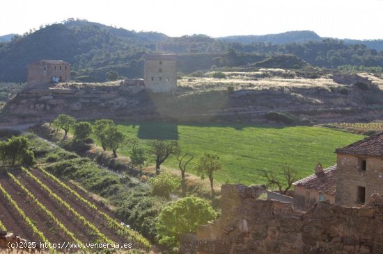 Finca en venta en Batea (Tarragona)