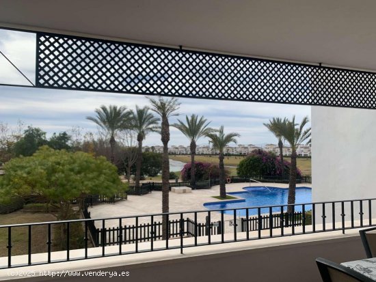 Apartamento en venta en Torre-Pacheco (Murcia)