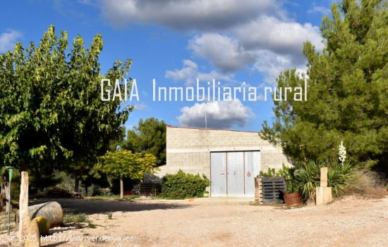 Finca en venta en Maella (Zaragoza)