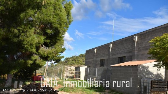 Finca en venta en Maella (Zaragoza)