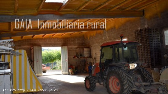 Finca en venta en Maella (Zaragoza)