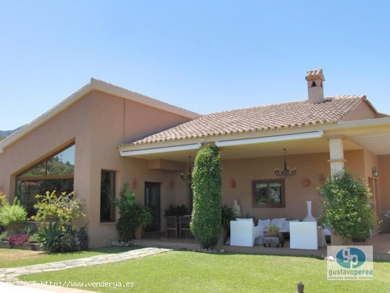 Villa en venta en Alhaurín de la Torre (Málaga)